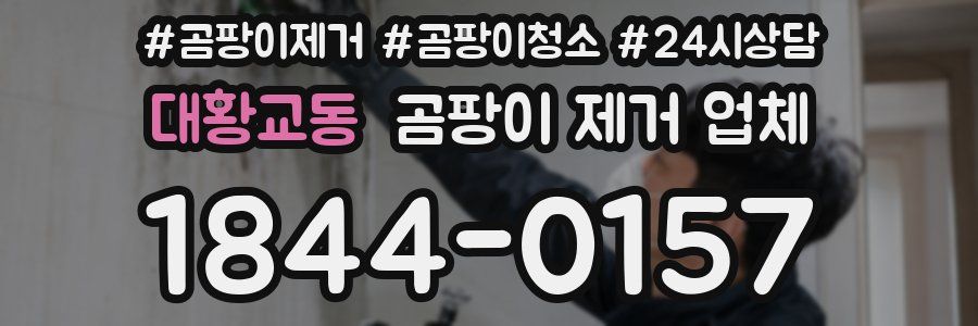 대황교동 곰팡이 제거 업체