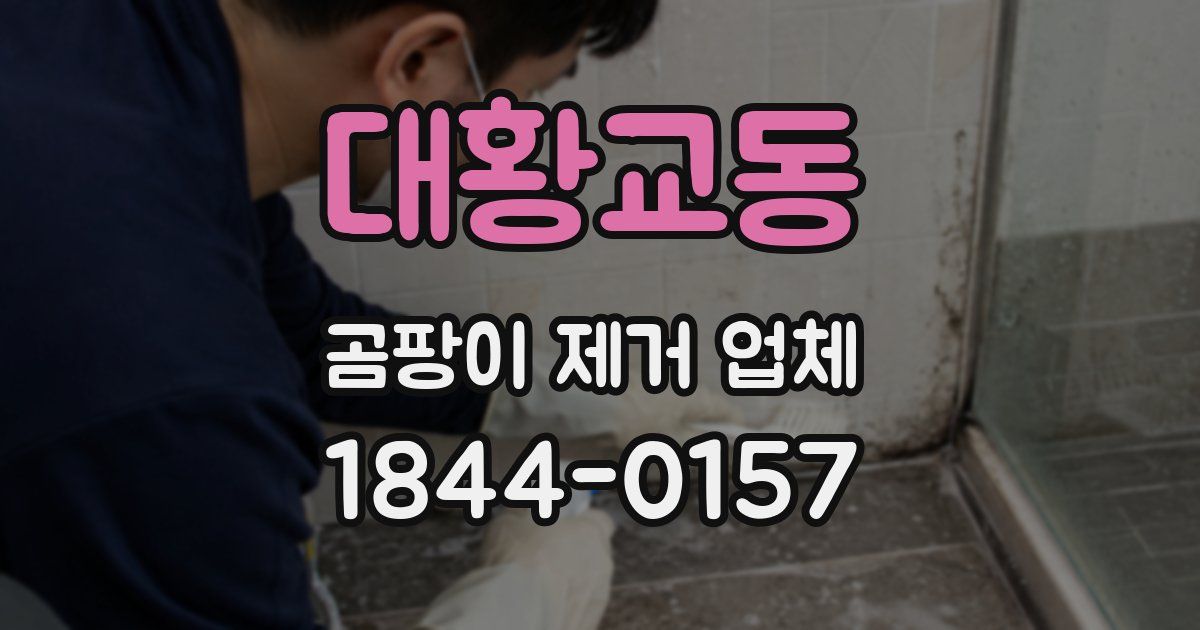 대황교동 곰팡이 제거 업체