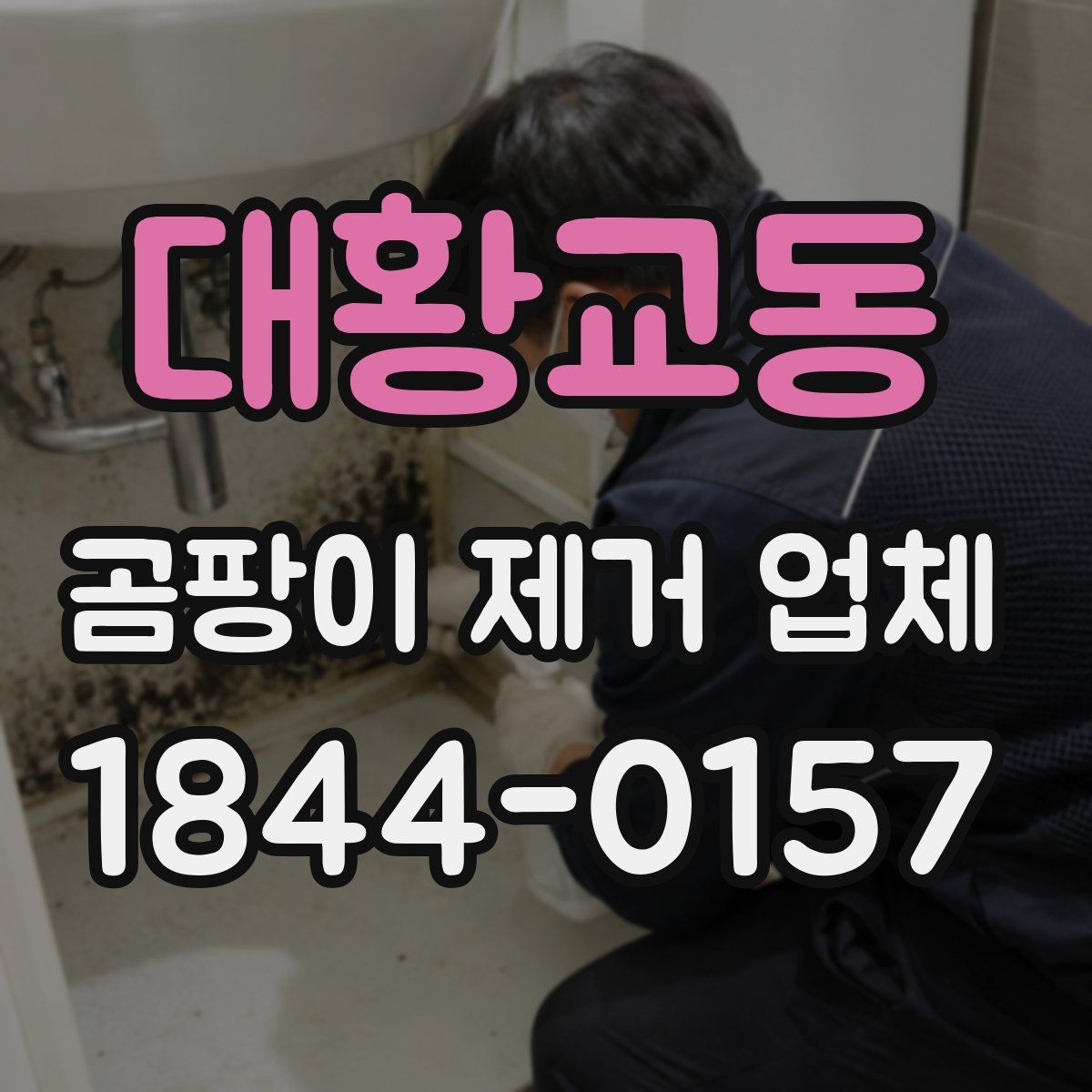 대황교동 곰팡이 제거 업체
