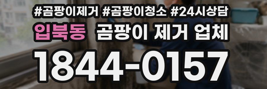입북동 곰팡이 제거 업체