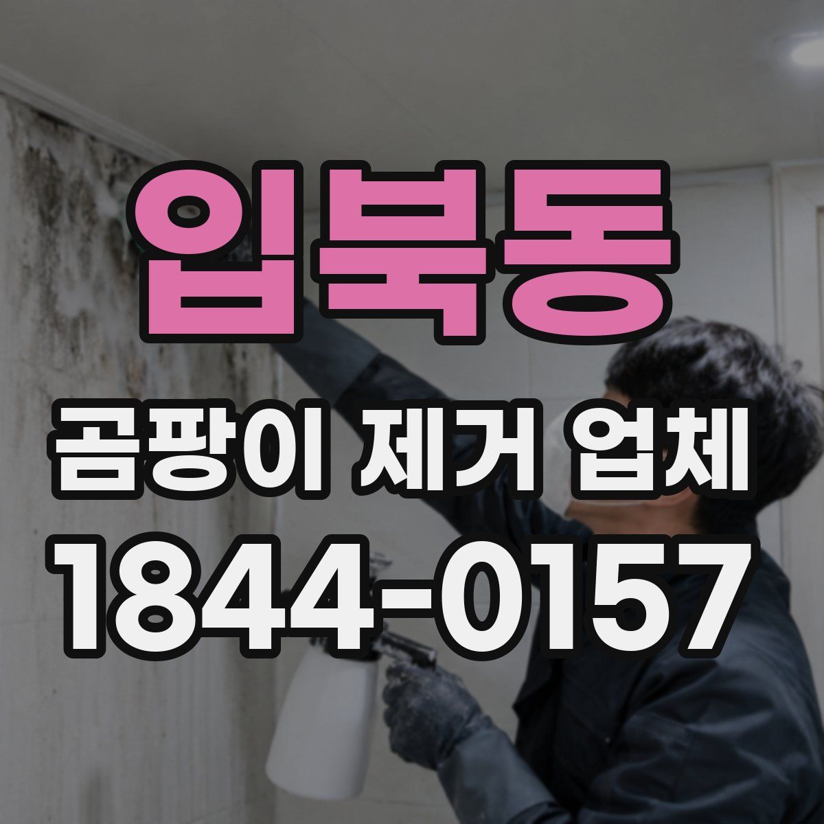입북동 곰팡이 제거 업체