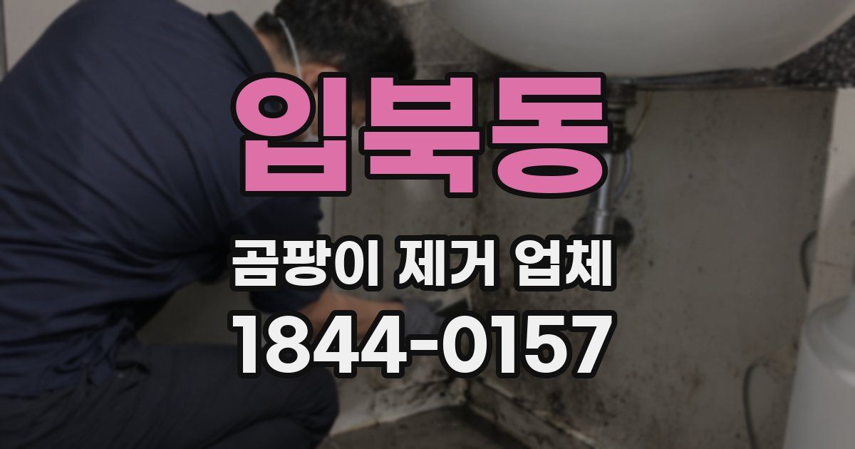입북동 곰팡이 제거 업체