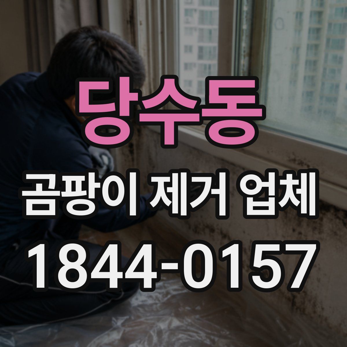 당수동 곰팡이 제거 업체