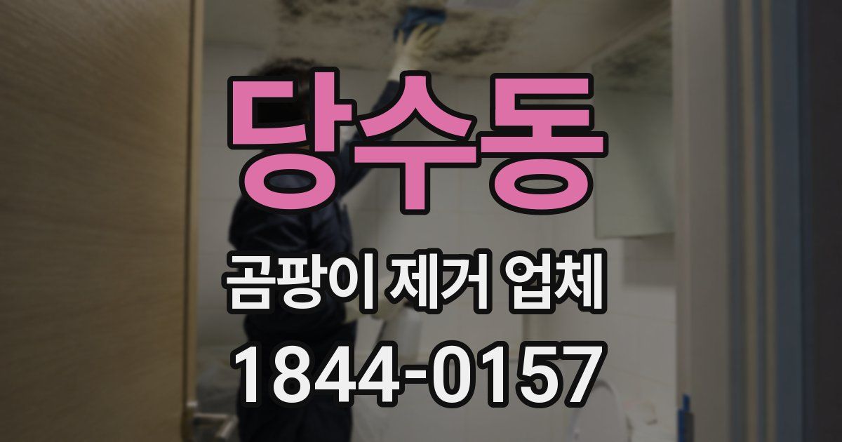 당수동 곰팡이 제거 업체