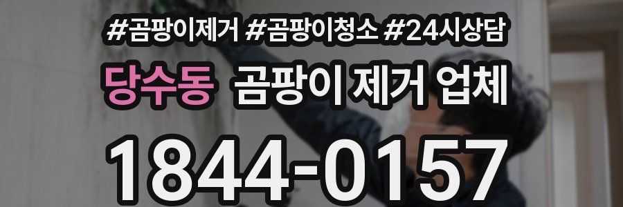 당수동 곰팡이 제거 업체