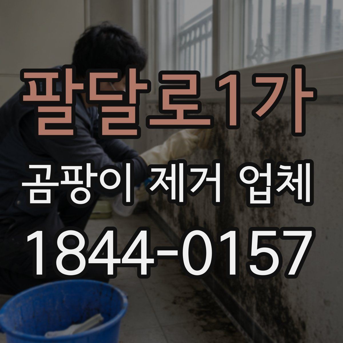 팔달로1가 곰팡이 제거 업체 세대 간 번짐 가능성을 살피는 실무 포인트