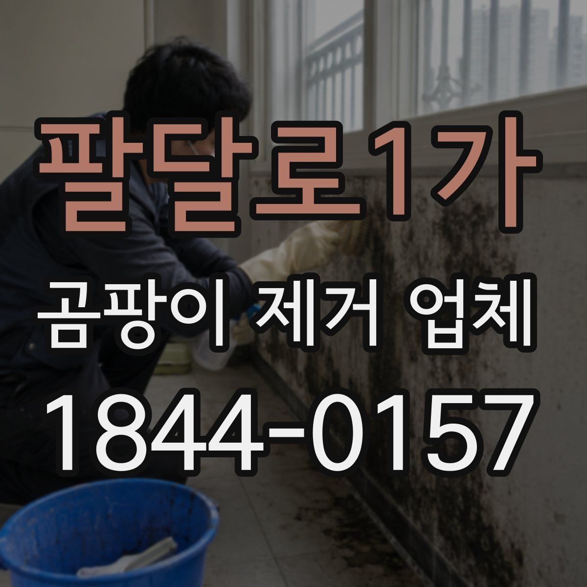 팔달로1가 곰팡이 제거 업체