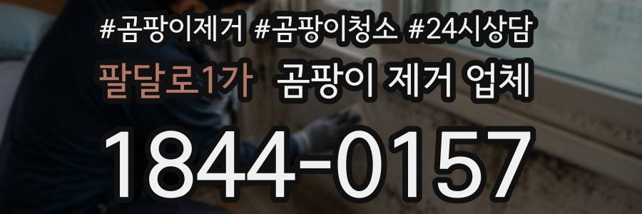 팔달로1가 곰팡이 제거 업체