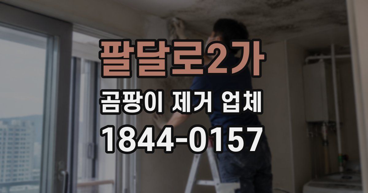 팔달로2가 곰팡이 제거 업체