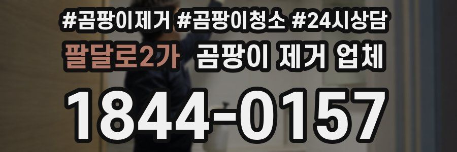 팔달로2가 곰팡이 제거 업체