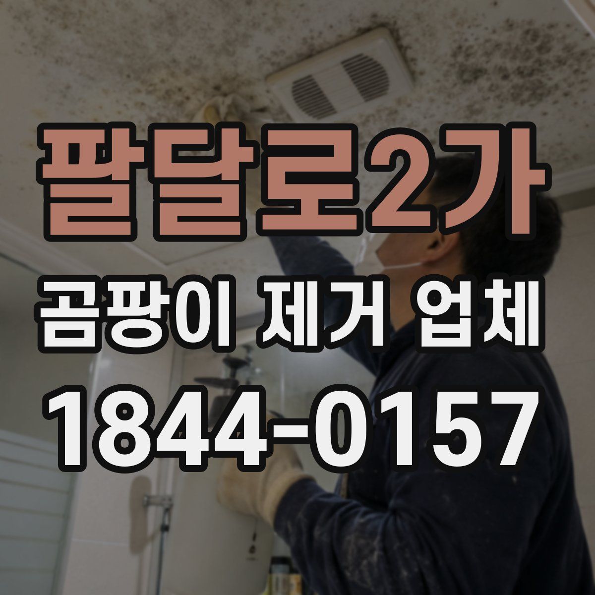 팔달로2가 곰팡이 제거 업체