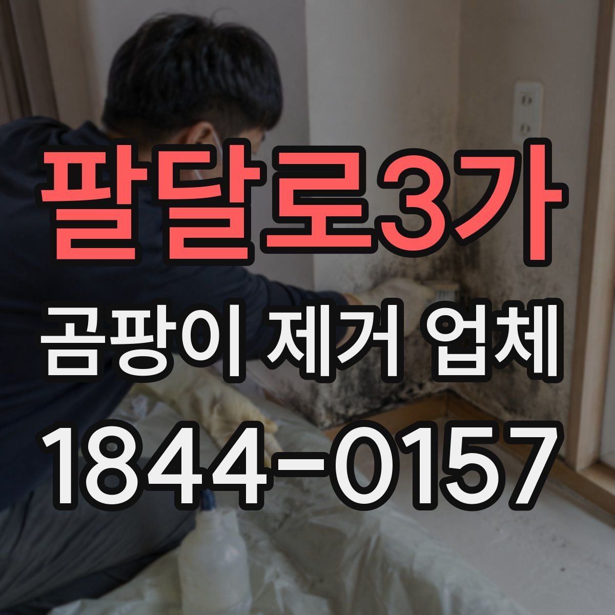 팔달로3가 곰팡이 제거 업체