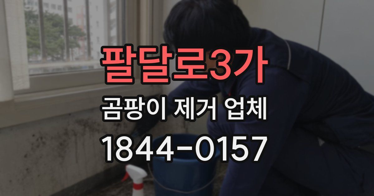 팔달로3가 곰팡이 제거 업체