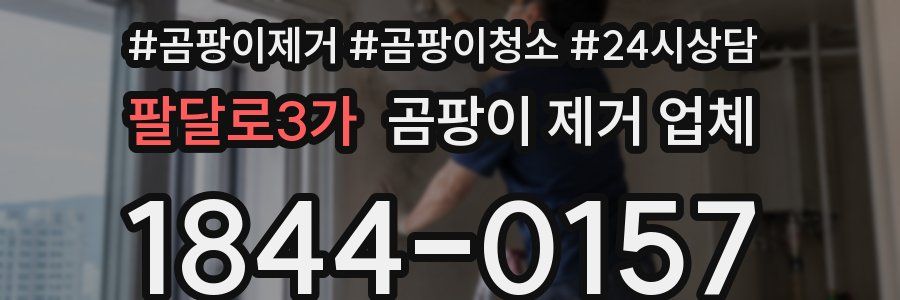 팔달로3가 곰팡이 제거 업체