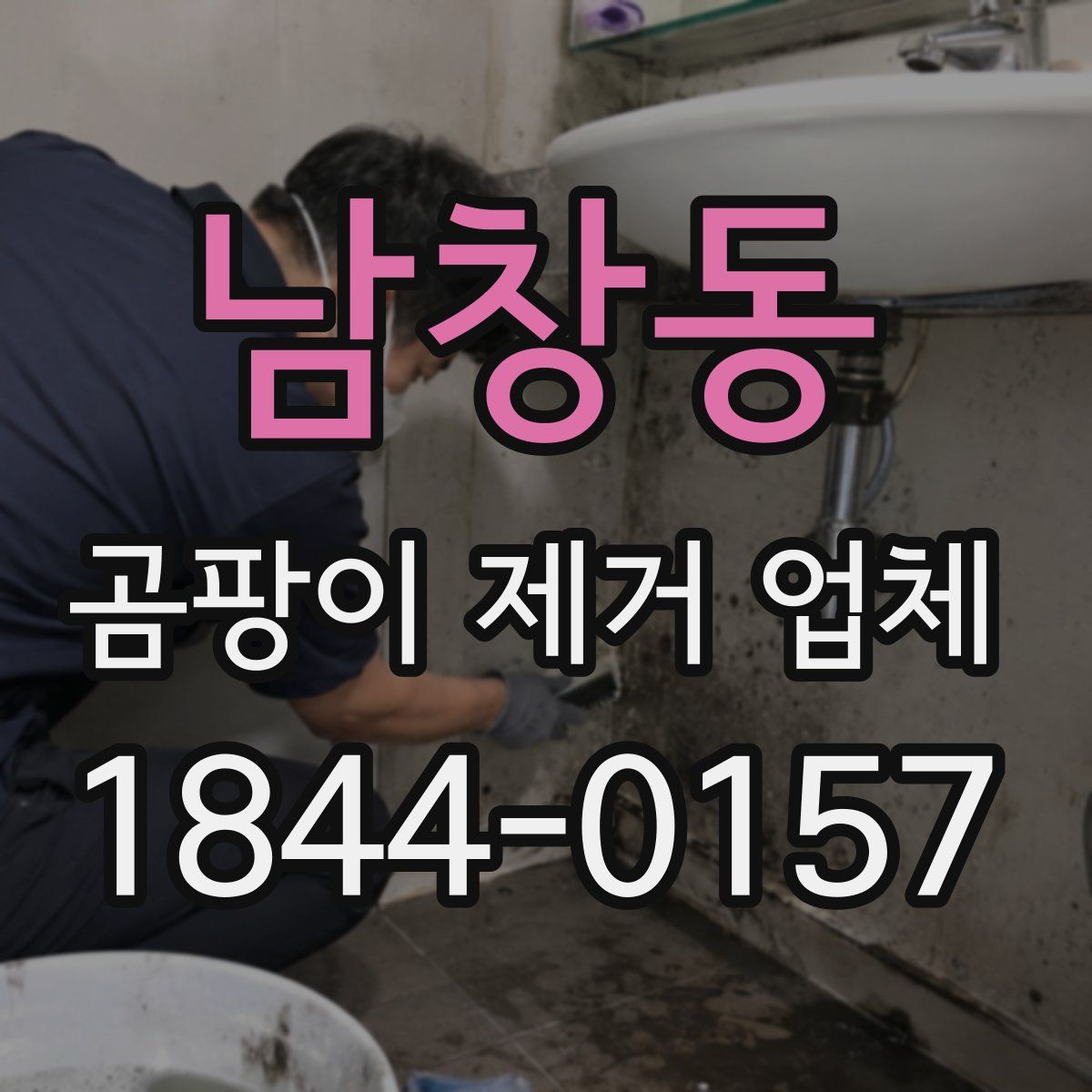 남창동 곰팡이 제거 업체