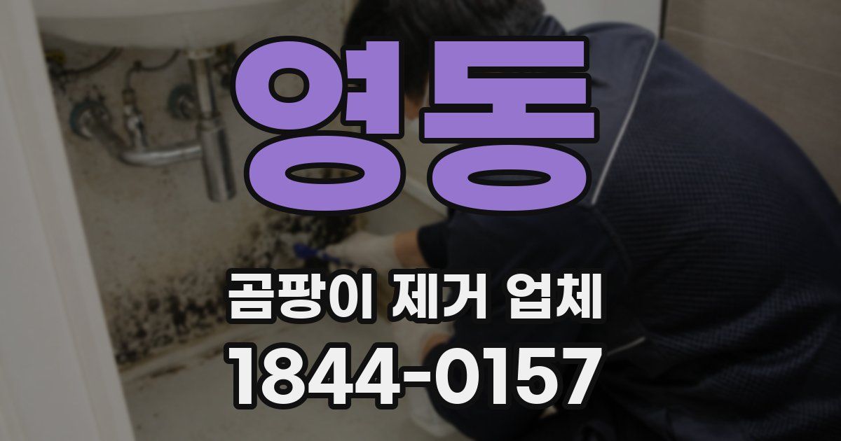 영동 곰팡이 제거 업체