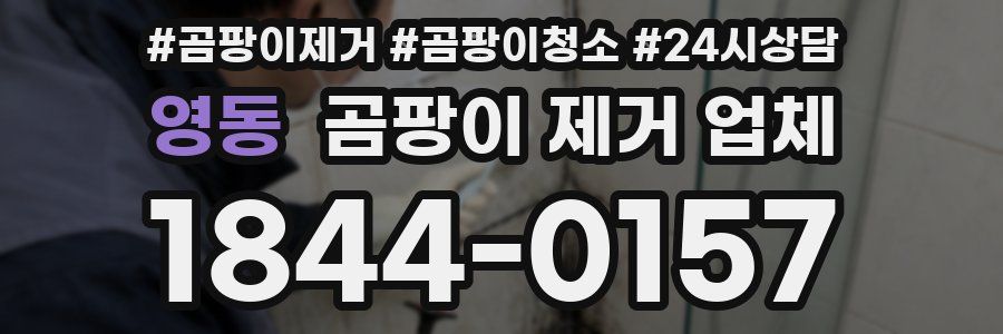 영동 곰팡이 제거 업체