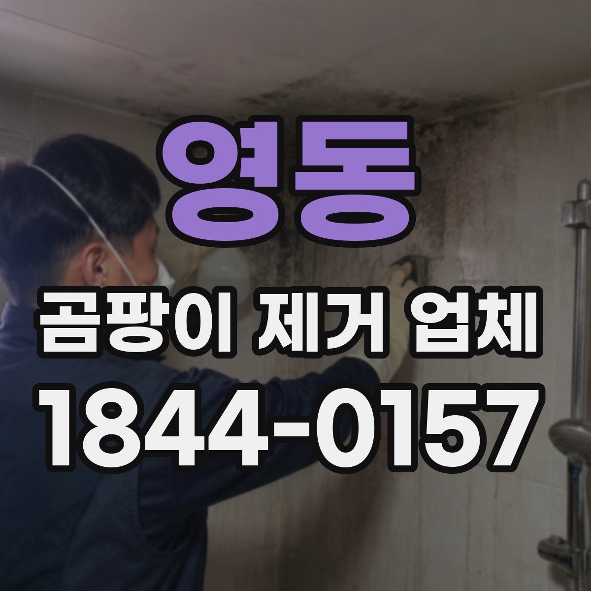영동 곰팡이 제거 업체