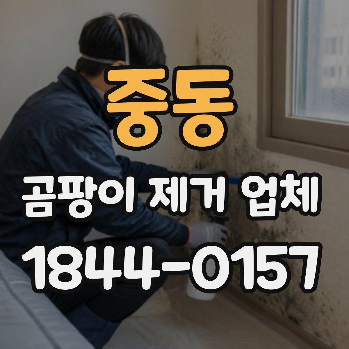 중동 곰팡이 제거 업체