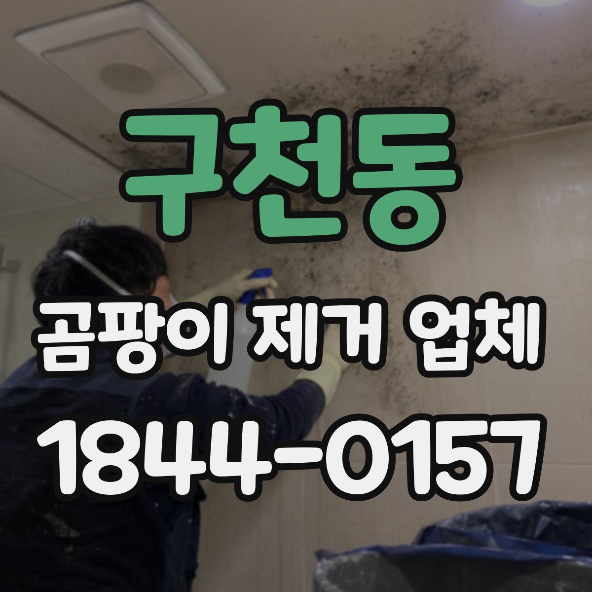구천동 곰팡이 제거 업체