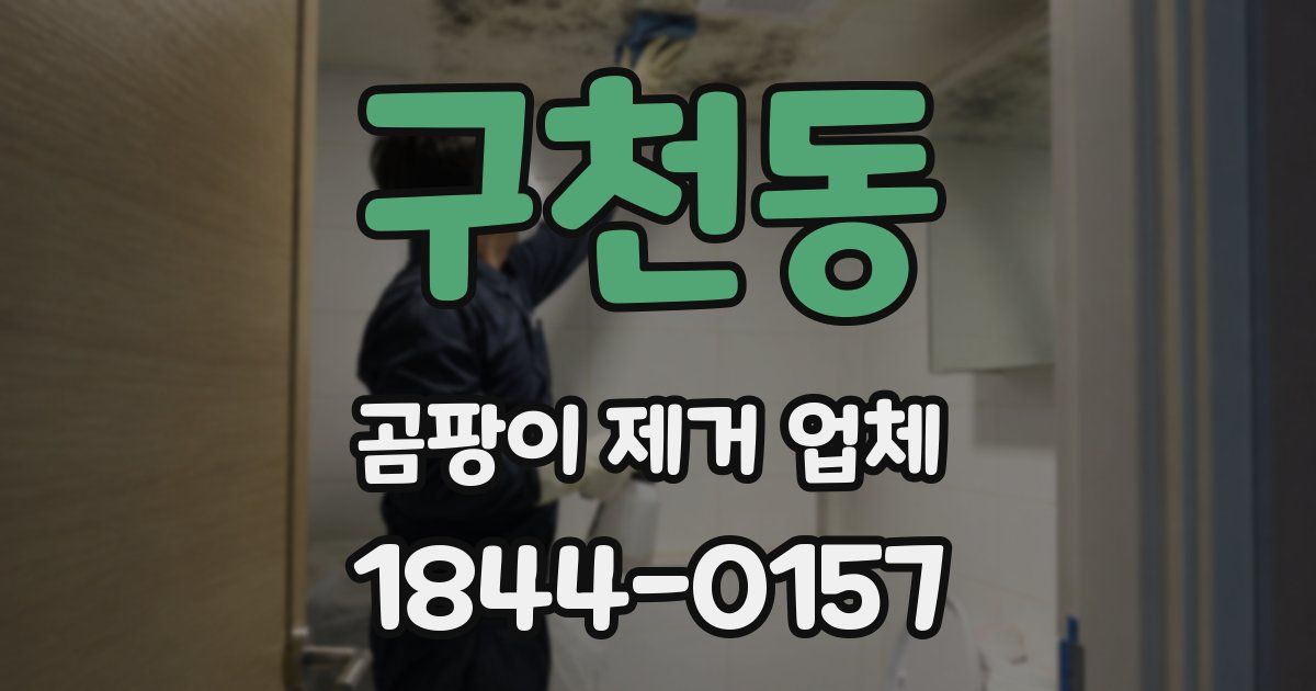 구천동 곰팡이 제거 업체