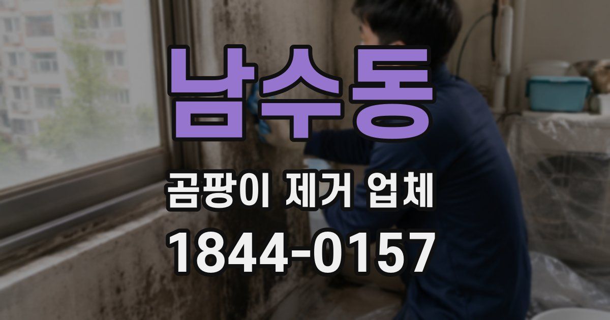 남수동 곰팡이 제거 업체