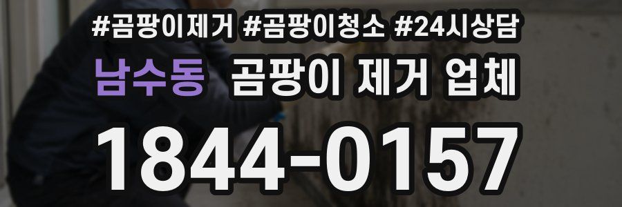 남수동 곰팡이 제거 업체