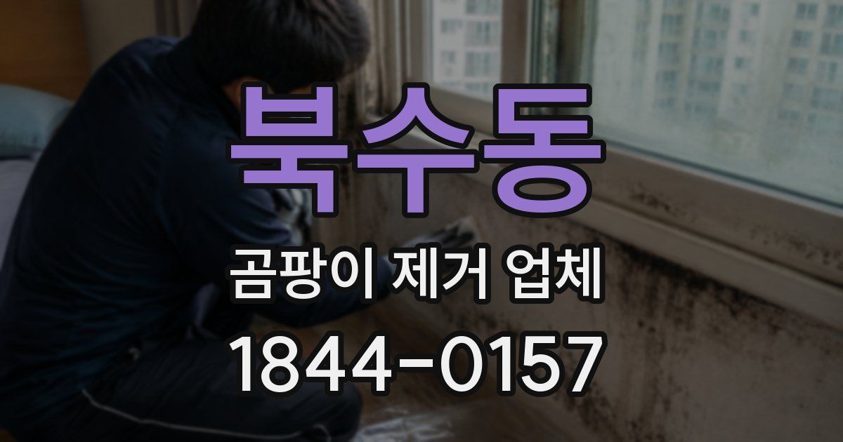 북수동 곰팡이 제거 업체