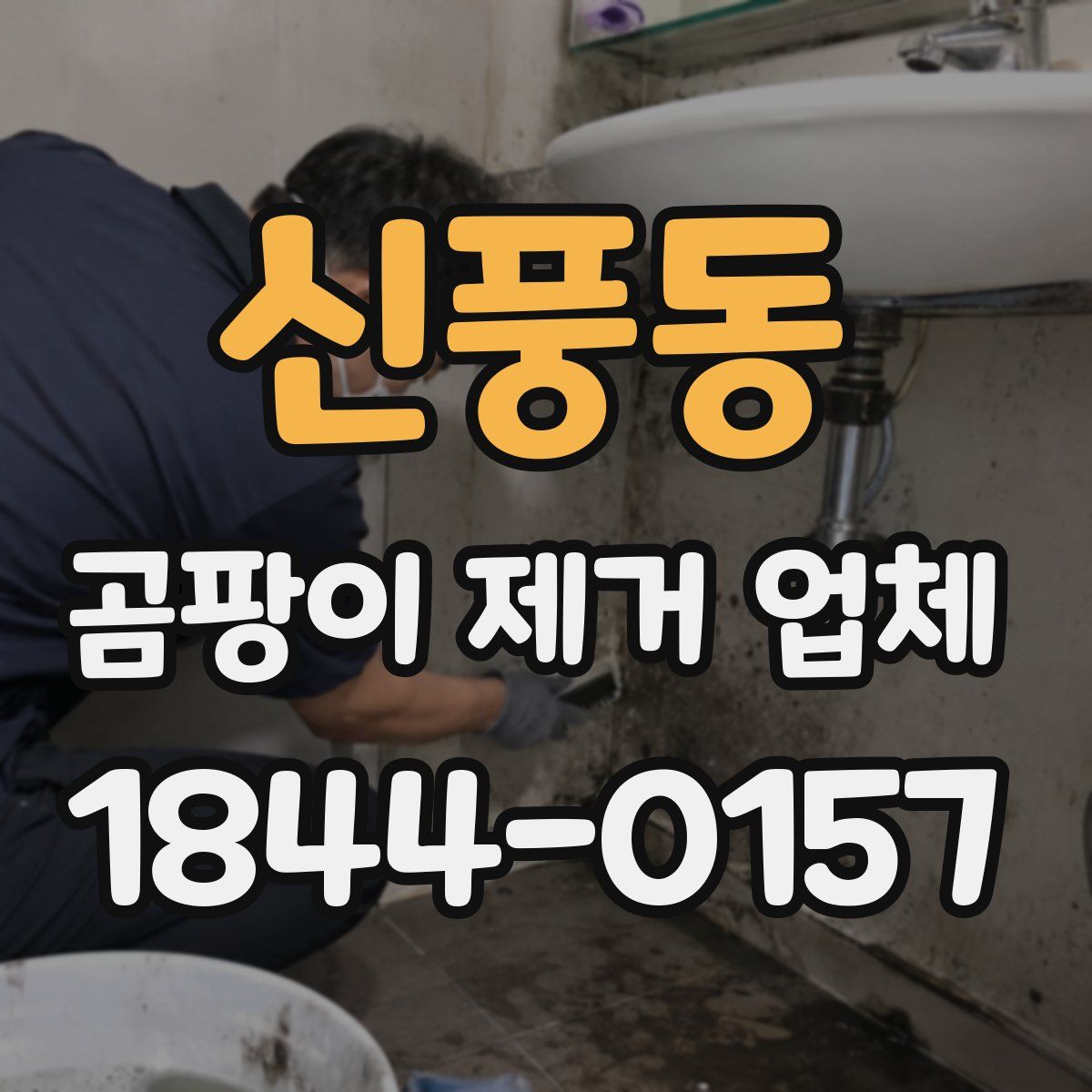 신풍동 곰팡이 제거 업체