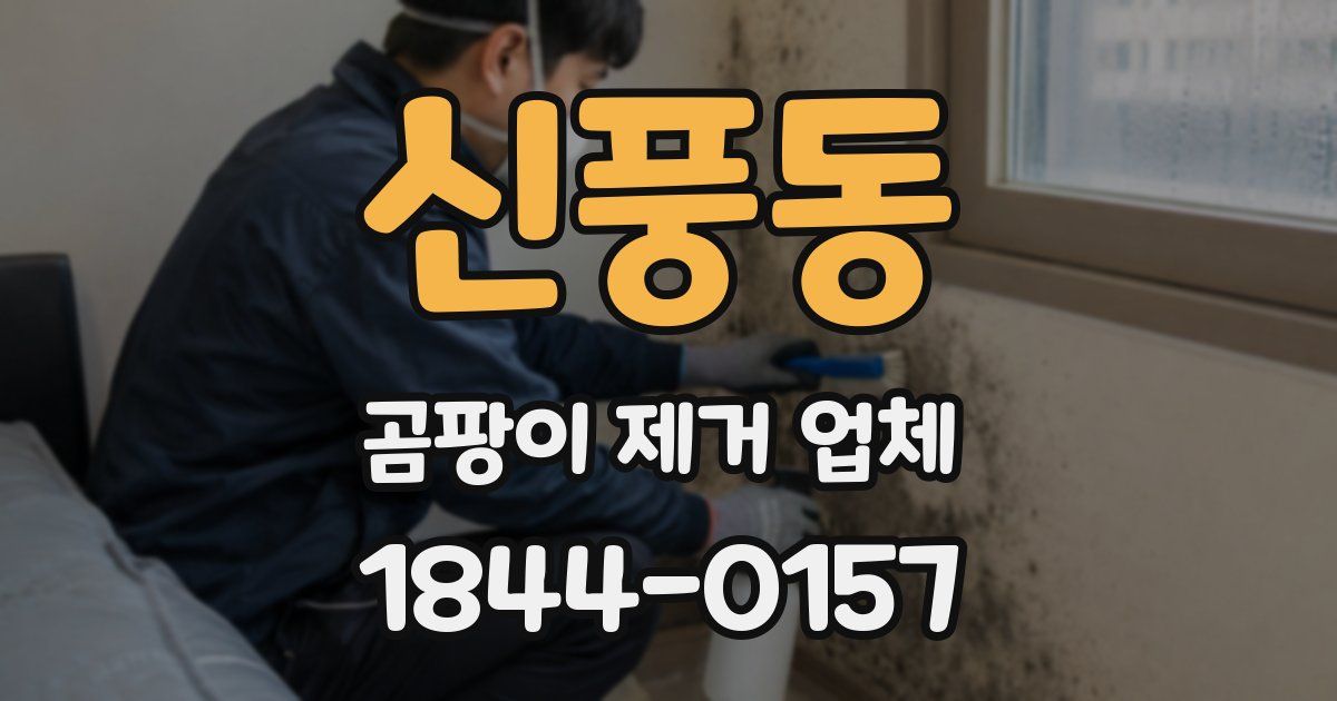 신풍동 곰팡이 제거 업체