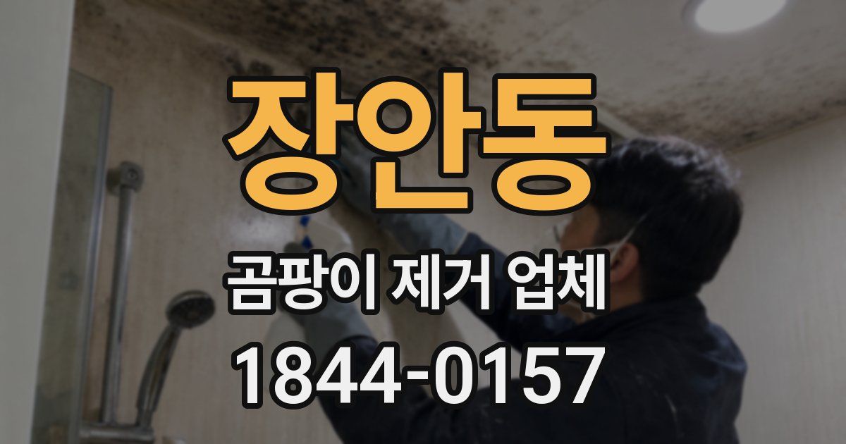 장안동 곰팡이 제거 업체