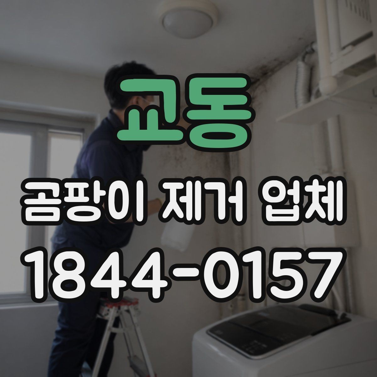 교동 곰팡이 제거 업체 틈새 곰팡이와 생활 오염을 구분하는 기준