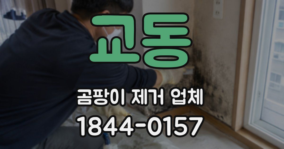 교동 곰팡이 제거 업체
