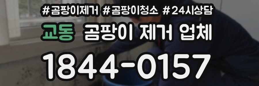 교동 곰팡이 제거 업체