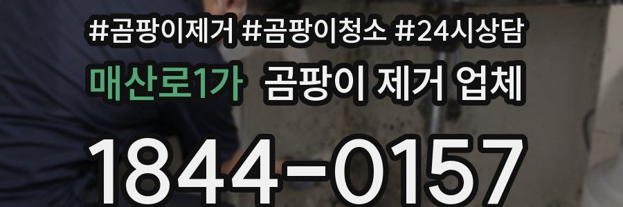 매산로1가 곰팡이 제거 업체