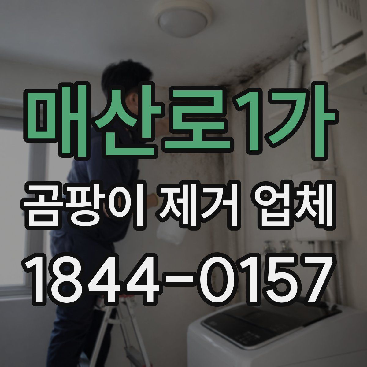 매산로1가 곰팡이 제거 업체