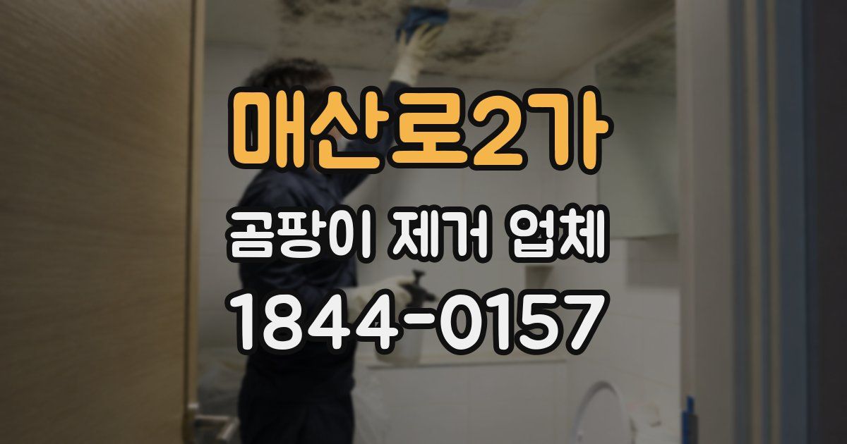 매산로2가 곰팡이 제거 업체