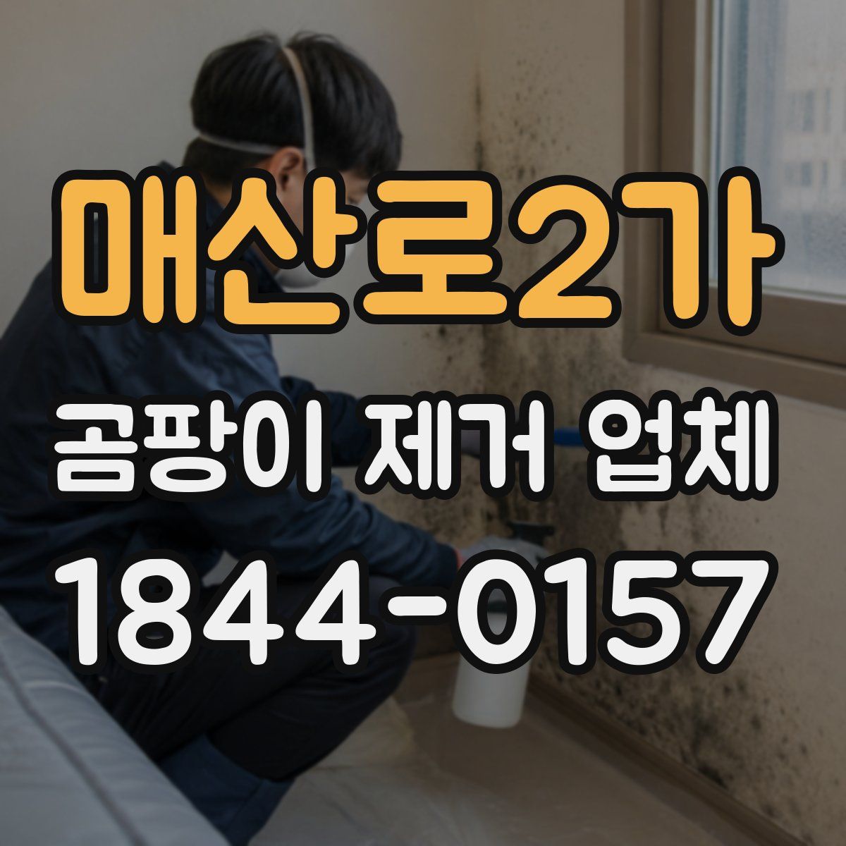 매산로2가 곰팡이 제거 업체