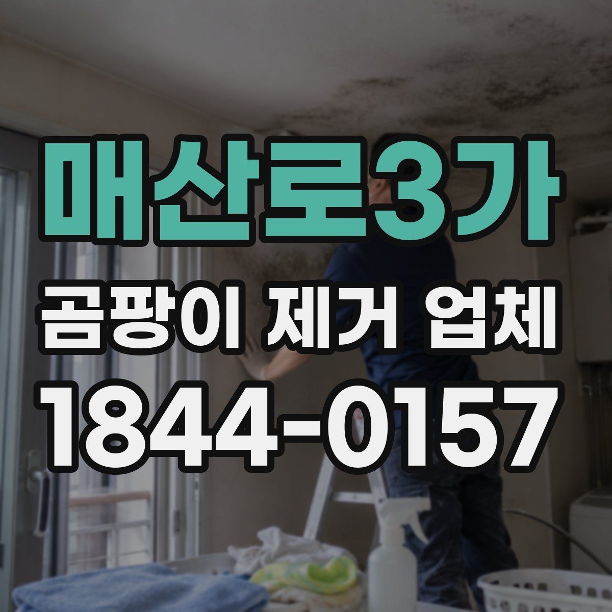 매산로3가 곰팡이 제거 업체 사진 비교로 보는 전후 상태와 손상 정도