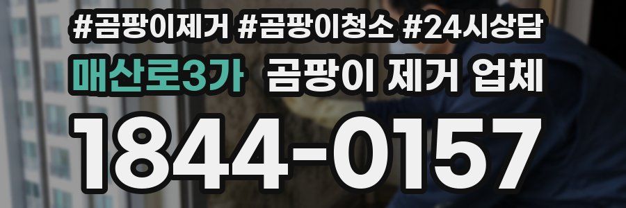 매산로3가 곰팡이 제거 업체