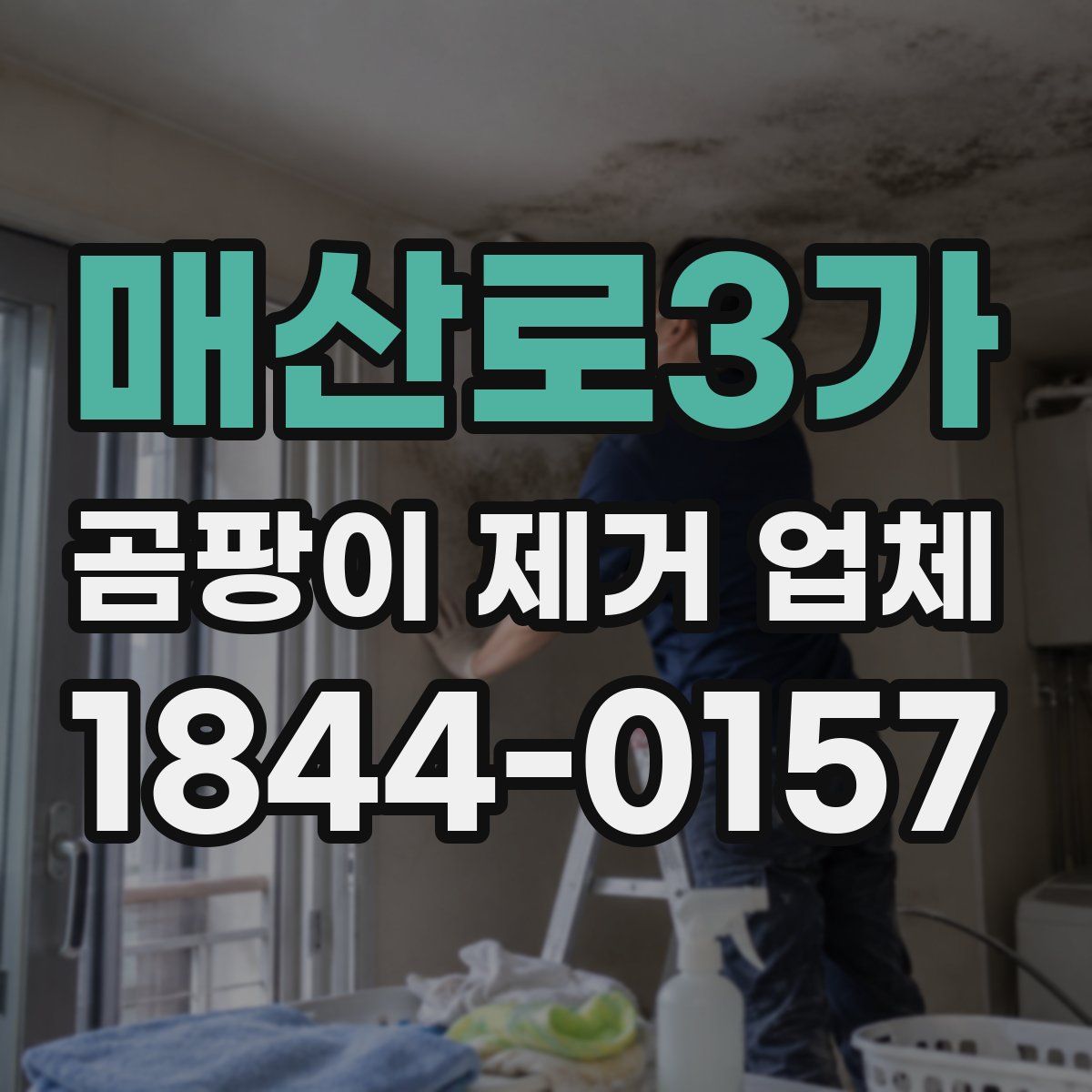 매산로3가 곰팡이 제거 업체