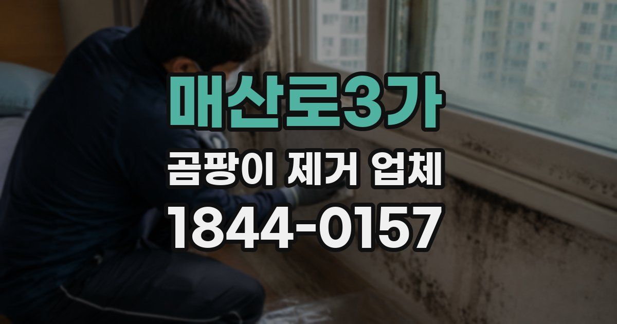 매산로3가 곰팡이 제거 업체