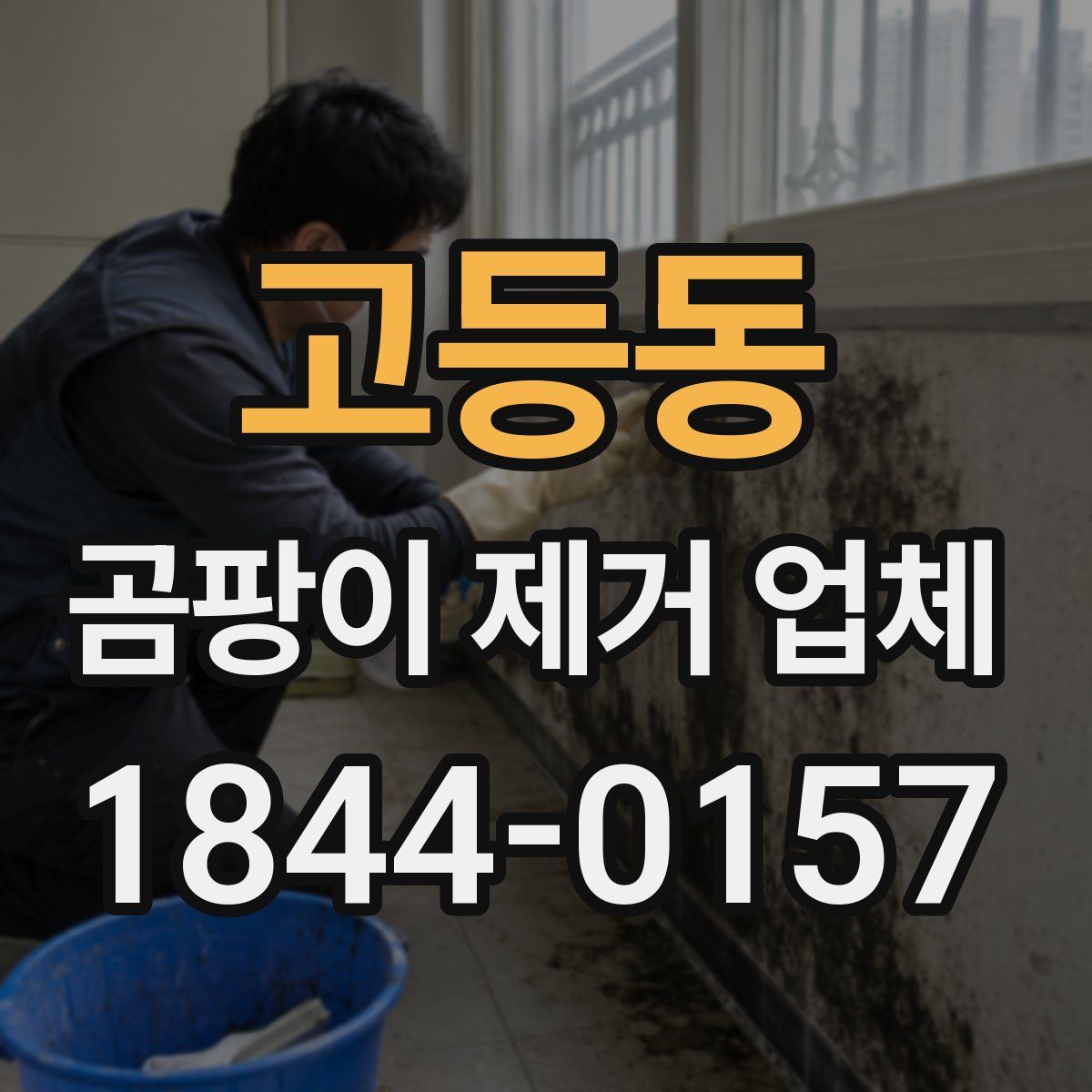고등동 곰팡이 제거 업체
