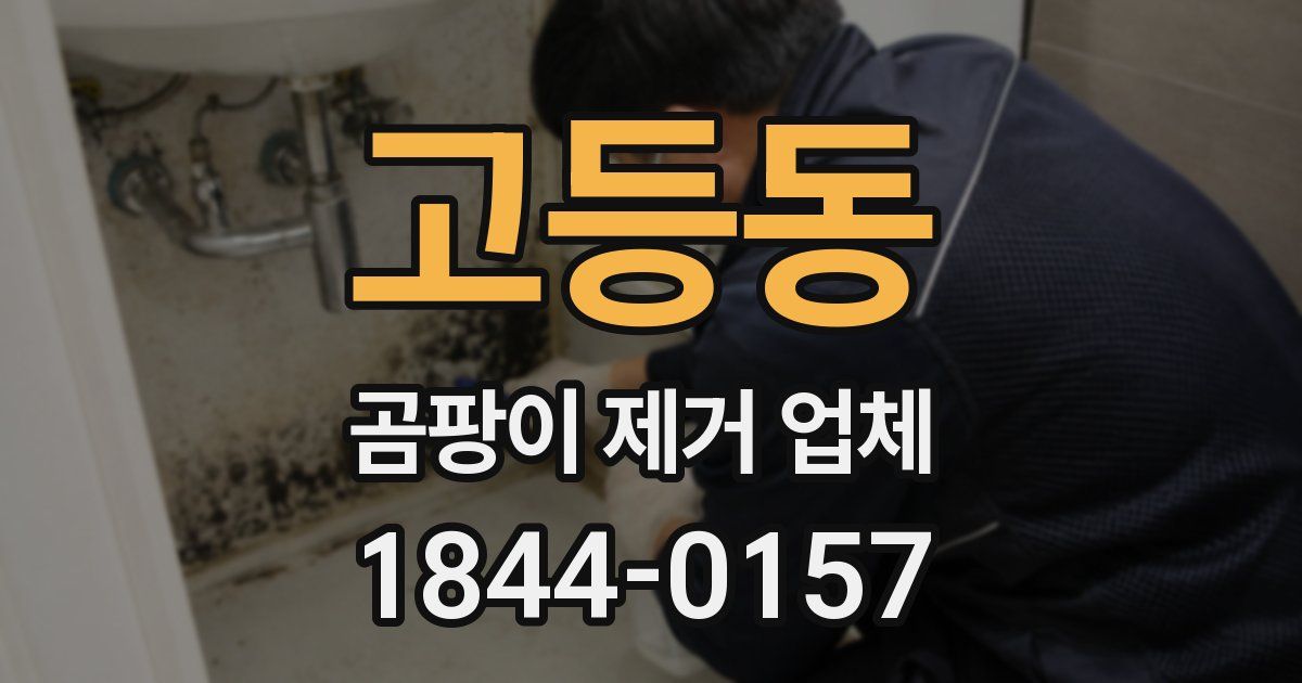 고등동 곰팡이 제거 업체