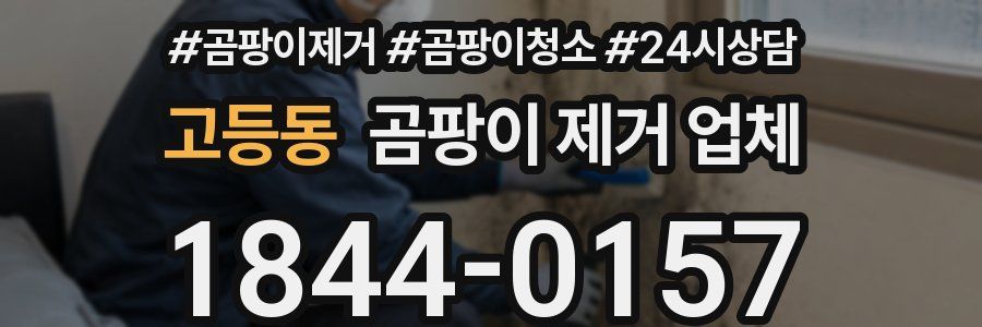 고등동 곰팡이 제거 업체