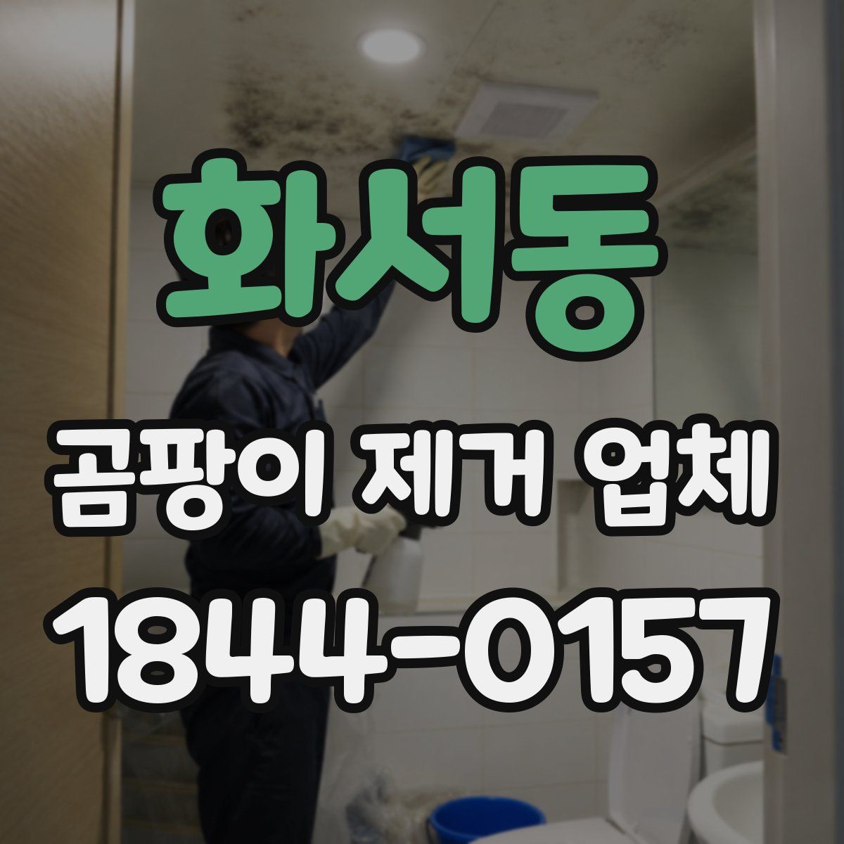 화서동 곰팡이 제거 업체