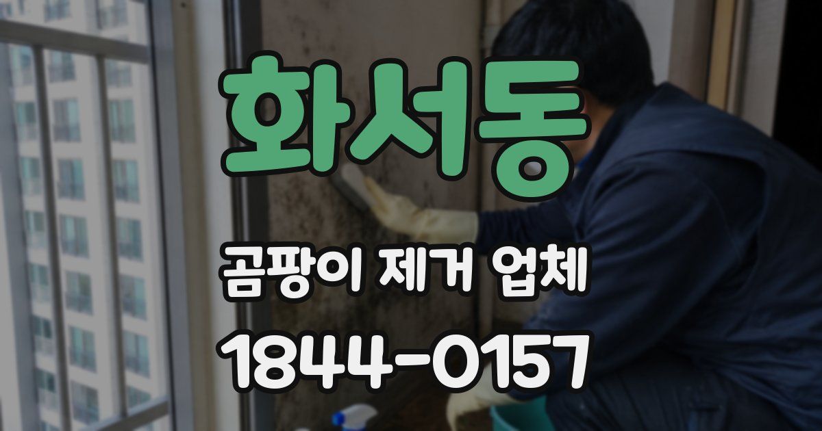 화서동 곰팡이 제거 업체