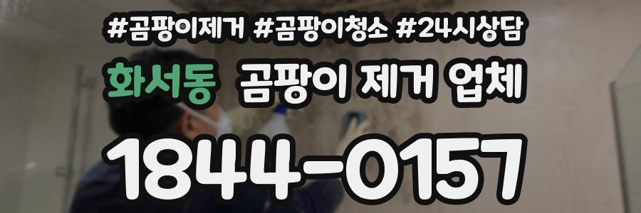 화서동 곰팡이 제거 업체
