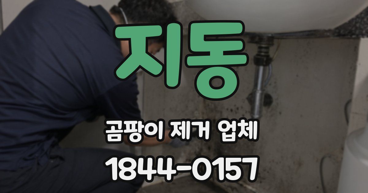 지동 곰팡이 제거 업체