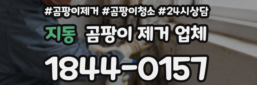 지동 곰팡이 제거 업체